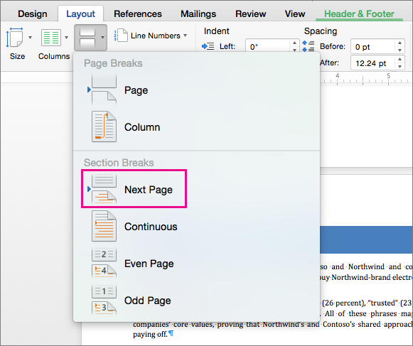 set different page number for first page in word mac